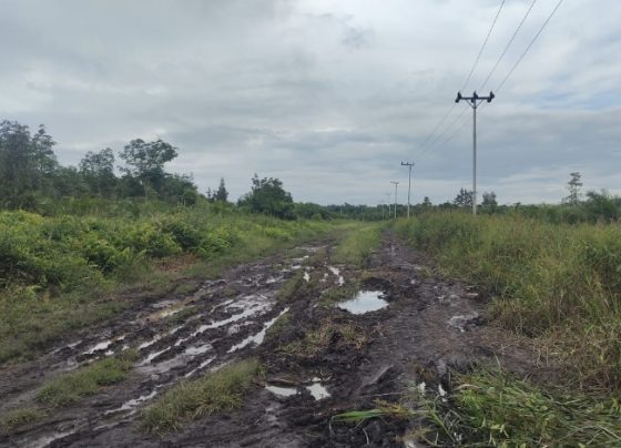 Kondisi jalan masuk ke Desa Soren tergolong rusak parah.