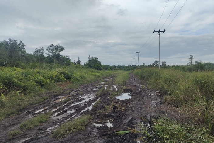 Jalan Desa Soren Rusak Parah