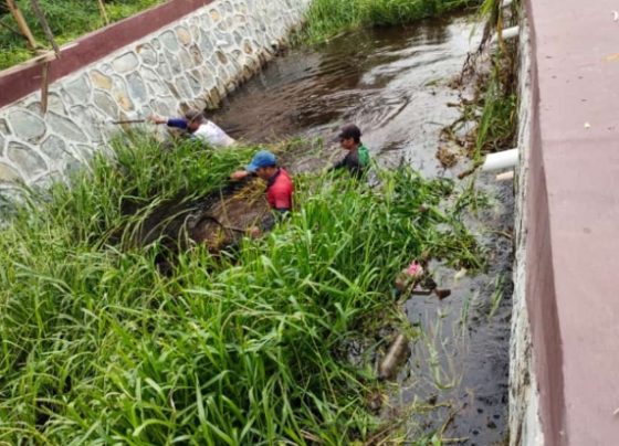 Petugas saat membersihkan rumput rumput yang menutupi aliran sungai di jalan Pramuka, Sabtu, 13 Januari 2024