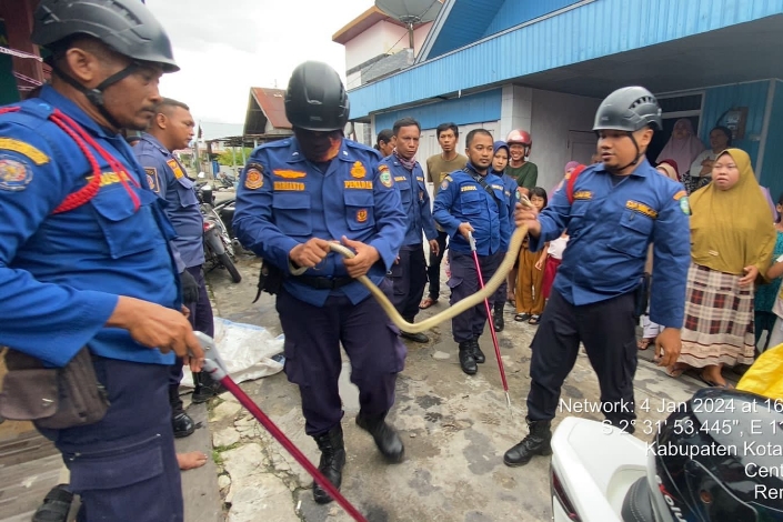 Ular King Kobra Ditemukan di Tumpukan Barang Dapur Rumah Warga