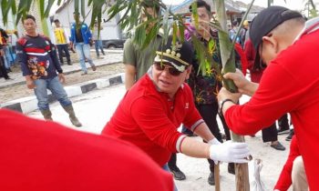 Bupati Kotim Halikinnor dan Kepala Balai HATHI saat menanam pohon di samping salah satu drenase di Sampit, Jumat, 2 Februari 2024.