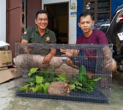 Keluarga Wartawati di Sampit ini Selamat Kukang Tersesat