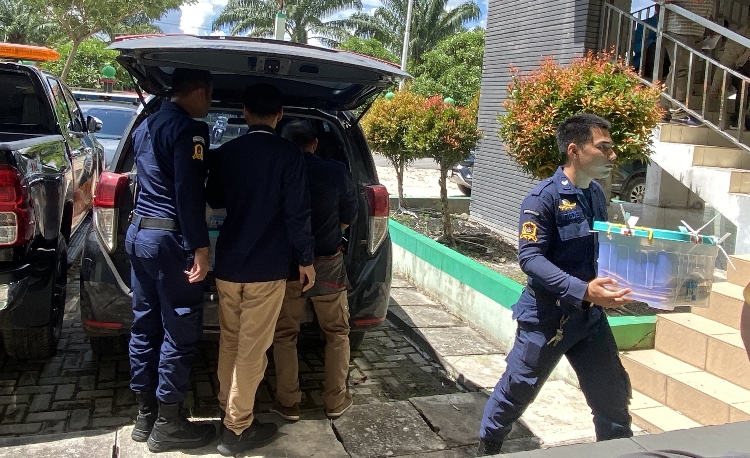 Irawati Bersyukur Partisipasi Pemilih Pemilu 2024 Meningkat 