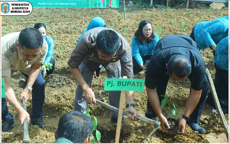 Serahkan 1.600 Bibit Tanaman Cabai untuk Petani, Pj Bupati Murung Raya: Pertanian Strategis Dukung Perekonomian