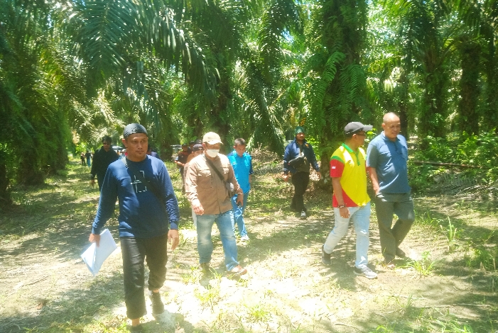 PBS Diduga Garap Lahan di Luar SPK, Warga Desa Satiung Lapor Polisi