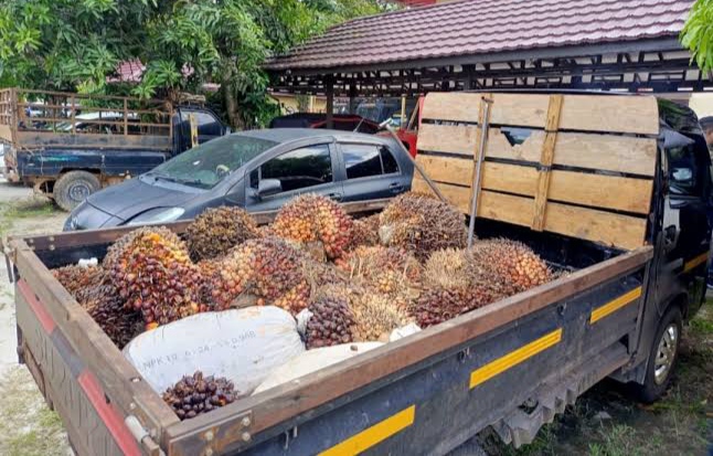 Warga Desa Sebabi Lakukan Aksi, Personel Polres Kotim Bergeser ke Mapolsek Telawang