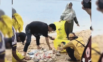Wabup Kotim Irawati membersihkan sampah di Pantai Ujung Pandaran