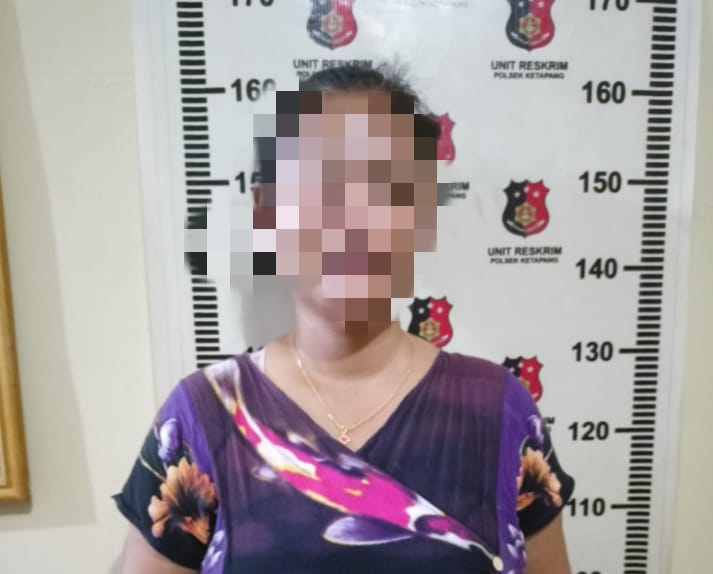 Polisi Tangkap Ibu Rumah Tangga Penjual Sabu