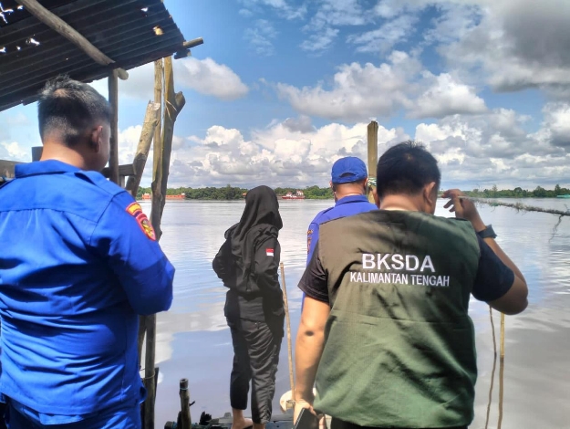 Seorang IRT di Desa Bapanggang Raya Diserang Buaya, BKSDA Lakukan Observasi