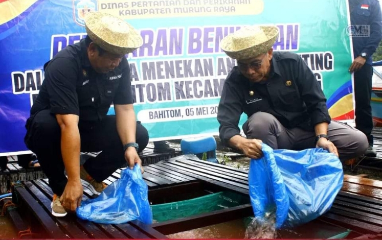 Panen dan Tebar Benih Ikan Bersama Masyarakat Desa Bahitom 