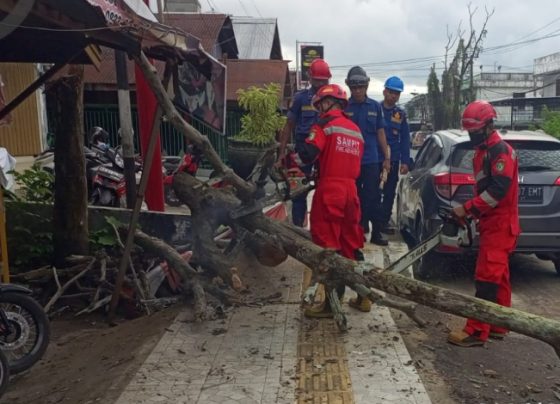 Sebuah pohon tumbang di Sampit mengenai sepeda motor dan spion mobil di depan showroom motor, Kamis 23 Mei 2024