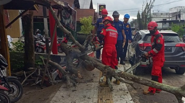 Sebuah pohon tumbang di Sampit mengenai sepeda motor dan spion mobil di depan showroom motor, Kamis 23 Mei 2024