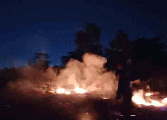 Kebakaran lahan di Jalan Kapten Mulyono Sampit, Senin malam, 24 Juni 2024.