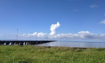 Pelabuhan Teluk Segintung Kabupaten Seruyan.