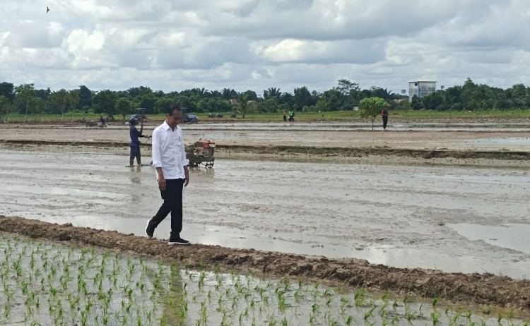 Jokowi : Harga Sembako Sama Seperti di Jawa, Jadi di Kotim Bagus Semua