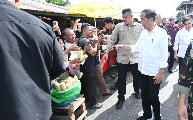 Jokowi Minta Kementerian PUPR Cek Jalan di Katingan 