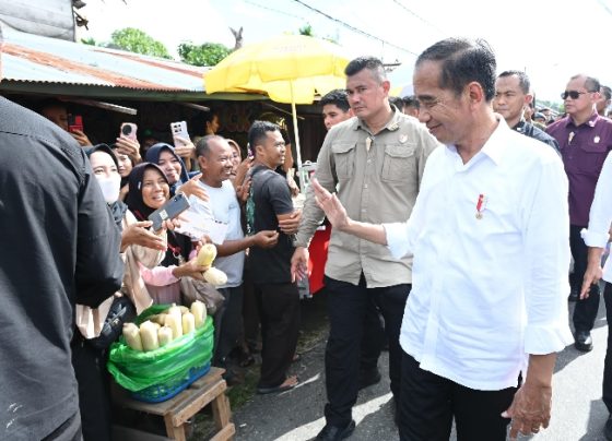 Presiden Republik Indonesia Jokowi mengunjungi Pasar Pata Kasongan, Kabupaten Katingan.