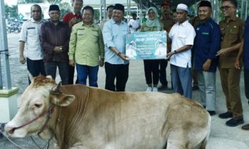 Sekda Kalteng Nuryakin menyerahkan bantuan hewan kurban untuk masyarakat Murung Raya, Selasa, 11 Juni 2024.