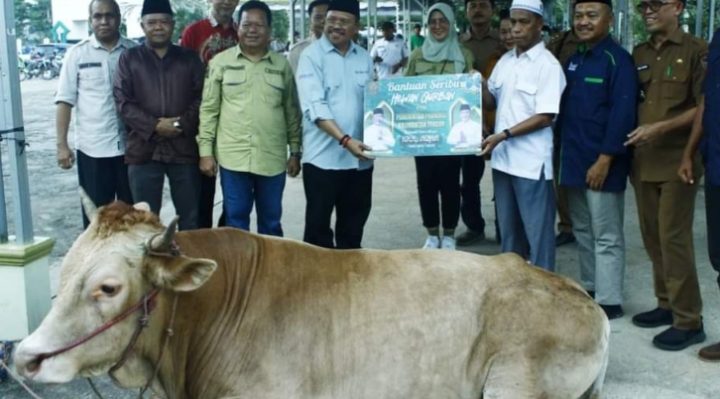 Sekda Kalteng Nuryakin menyerahkan bantuan hewan kurban untuk masyarakat Murung Raya, Selasa, 11 Juni 2024.