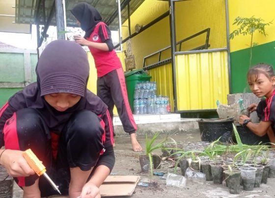 Siswi SDN 4 Ketapang menanam kebun herbal bawang dayak sekaligus menghijaukan lingkungan