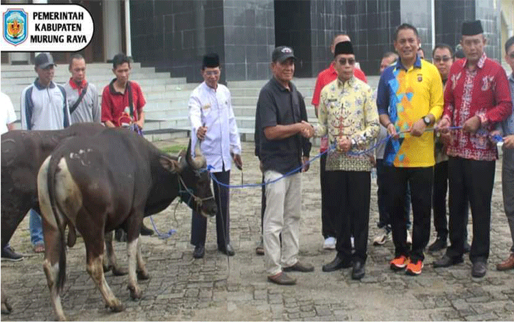 Pemkab Murung Raya Salurkan Puluhan Hewan Kurban ke Masjid dan Musala