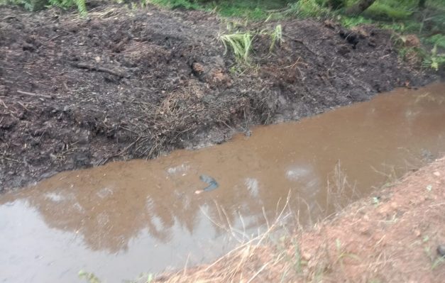 Jasad pria ditemukan dalam parit perkebunan sawit PT Agro Bukit.