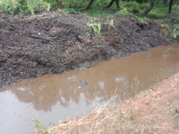 Warga Temukan Mayat di Parit Kebun Sawit Sampit Agro Bukit