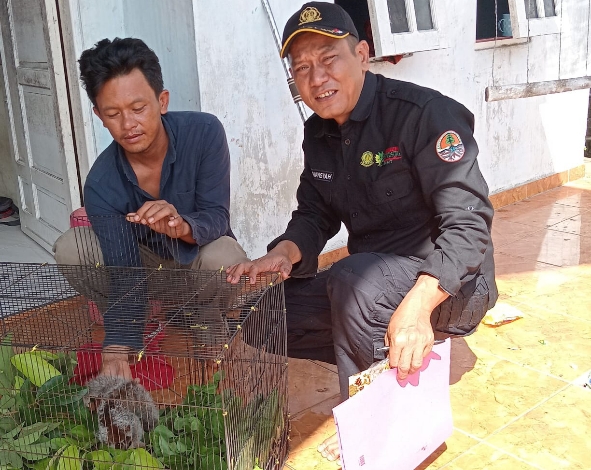 Kukang ini Ditemukan Warga dalam Kondisi Sakit di Tepi Hutan Tumbang Puan