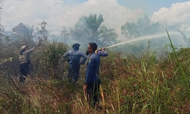 Pemadam kebakaran lakukan pemadaman kerhutla di pemukiman yang berada di Jalan Bumi Ayu, Kecamatan Mentawa Baru Ketapang, Jumat, 26 Juli 2024.