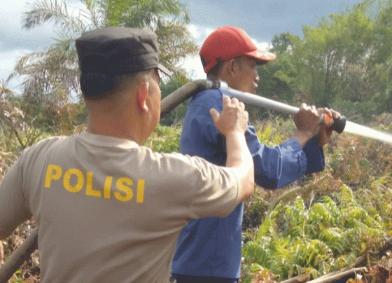 Petugas pemadam kebakaran memadamkan api di lahan dekat RSUD Samuda, Minggu, 14 Juli 2024.