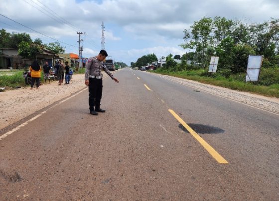 Petugas satlantas polres kotim saat lakukan olah TKP kasus kecelakaan antara mobil dan sepeda motor di Kelurahan Penyang, Kecamatan Telawang