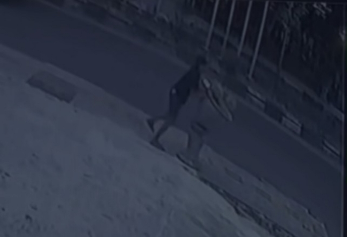 Seorang Pria di Sampit Sengaja Rusak Pot Bunga Milik Pemerintah Terekam Kamera Pengawas