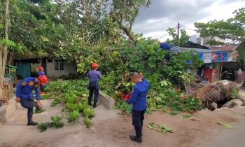 Petugas Disdamkarmat Kotim mengevakuasi pohon tumbang yang menimpa rumah warga dan kabel PLN di Jalan S Parman, Kecamatan MB Ketapang, Sampit, Kotim