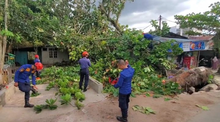 Petugas Disdamkarmat Kotim mengevakuasi pohon tumbang yang menimpa rumah warga dan kabel PLN di Jalan S Parman, Kecamatan MB Ketapang, Sampit, Kotim