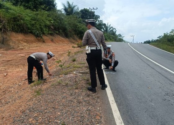 Petugas Satlantas Polres Kotim lakukan olah TKP usai insiden kecelakaan yang menewaskan pasutri di Kecamatan Parenggean.