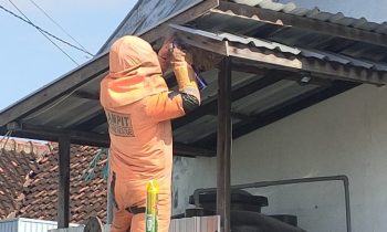 Proses evakuasi sarang tawon di atap bangunan tandon air milik rumah warga di Sampit, Kotim, Jumat, 23 Agustus 2024