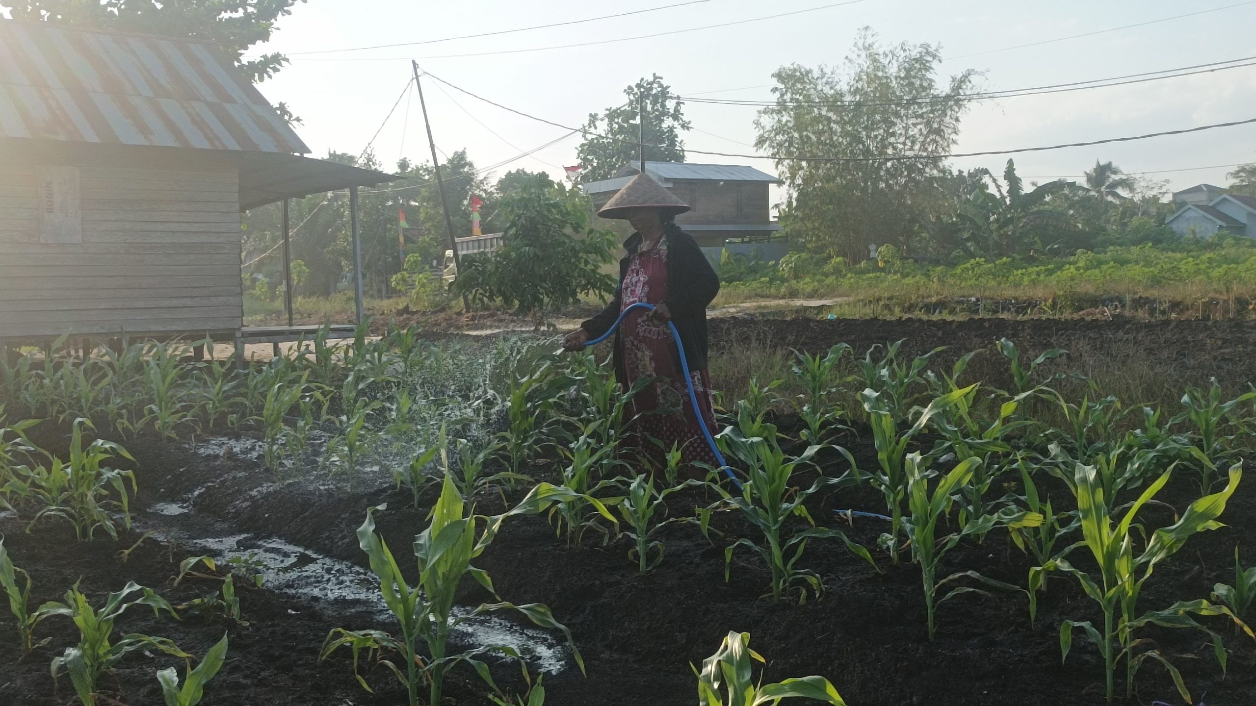 Petani Harus Bisa Mencangkul, Pemimpin Harus Bisa Merangkul