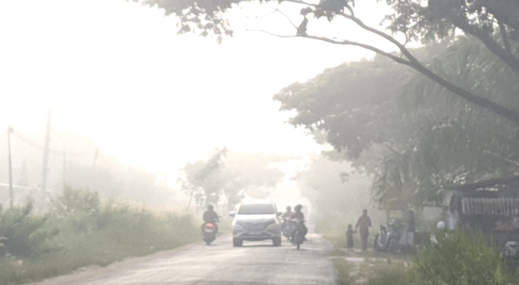 Kabut Asap Mulai Selimuti Sampit