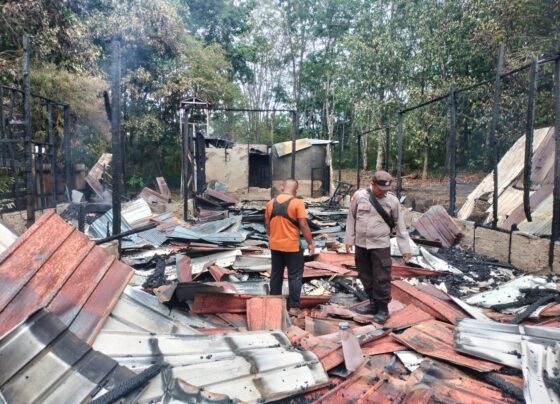 Petugas kepolisian mengecek lokasi kebakaran di Desa Pundu, Minggu, 29 September 2024