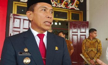 Pj Bupati Murung Raya Hermon
