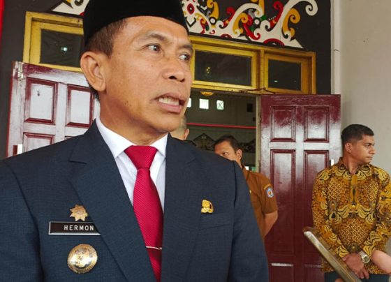 Pj Bupati Murung Raya Hermon