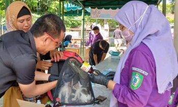 Vaksin rabies gratis di Puskesmas Hewan Sampit, Sabtu, 28 September 2024.