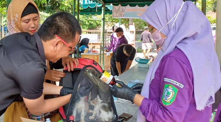 Vaksin rabies gratis di Puskesmas Hewan Sampit, Sabtu, 28 September 2024.