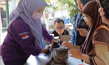 Warga membawa kucing untuk divaksinasi rabies di Puskesmas Hewan Sampit, Sabtu, 28 September 2024.