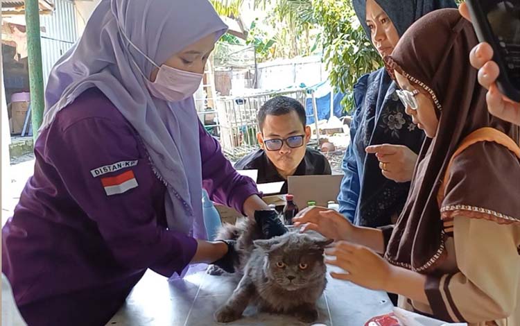 DPKP Kotim Siapkan Vaksin Rabies Gratis, Ajak Masyarakat Cegah Penyebaran Rabies