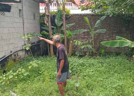 Warga menunjukkan tanda tanda kemunculan beruang di Jalan Kapten Mulyono, Sampit, Minggu, 29 September 2024.