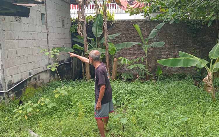 Beruang Lepas Serang Ternak di Sampit, Warga Diminta Waspada