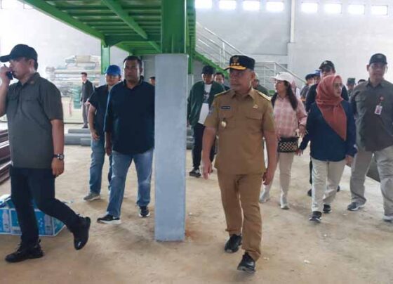Gubernur Kalteng H. Sugianto Sabran Tinjau Progres Pembangunan Pabrik Pakan