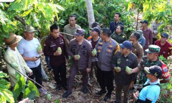 Gubernur Kalteng Kunjungi Petani Kakao di Murung Raya