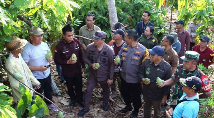 Gubernur Kalteng Kunjungi Petani Kakao di Murung Raya